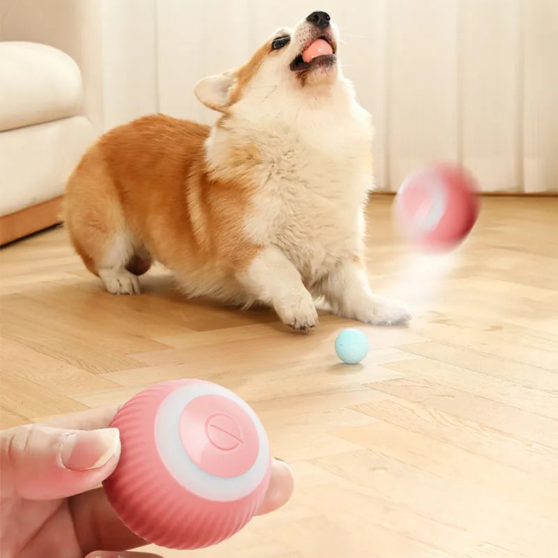 Electric Smart Pet Ball Toys