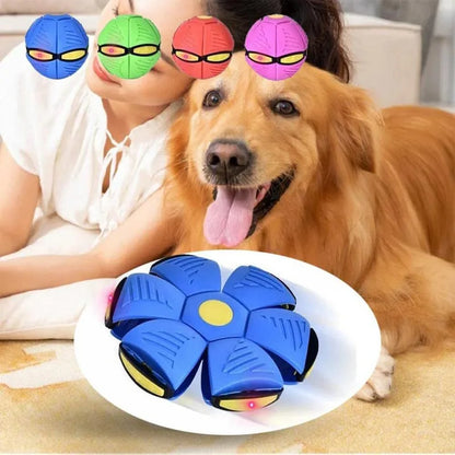 Dog  Flying Disc Toy