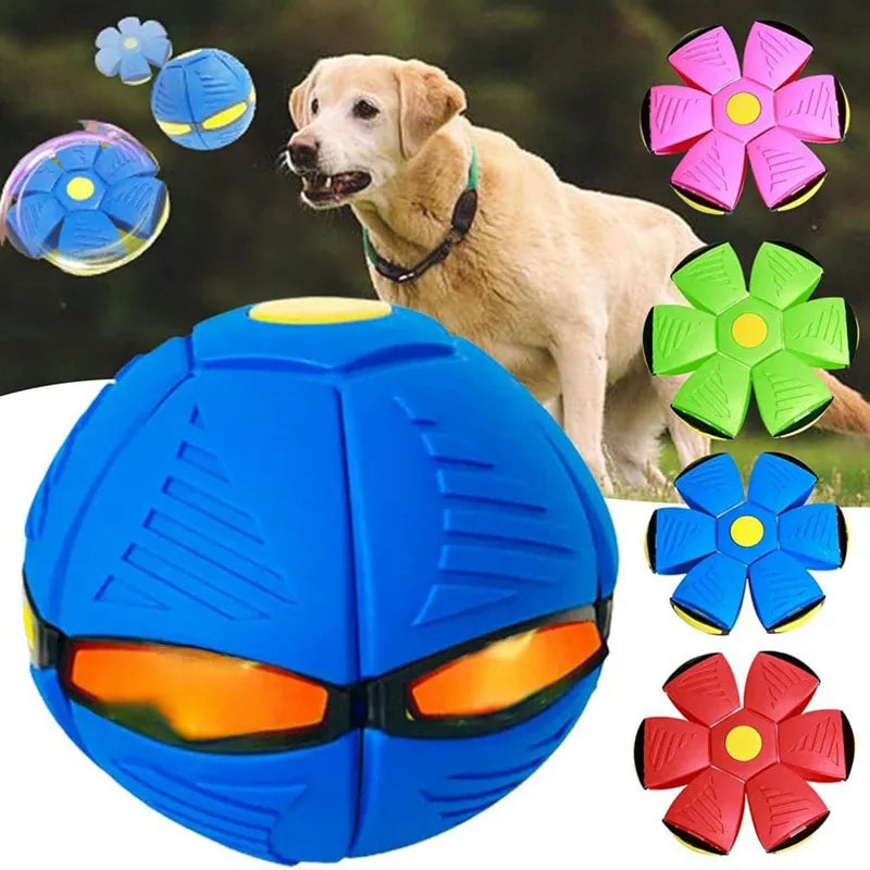 Dog  Flying Disc Toy