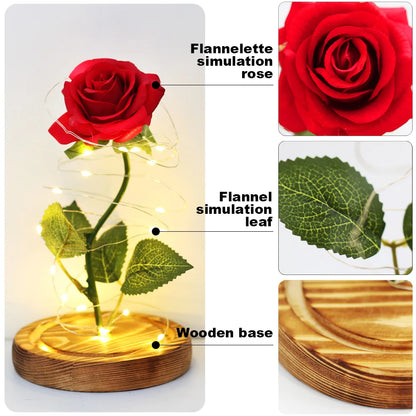 Eternal Rose in Glass Cover Valentine's Day Gift