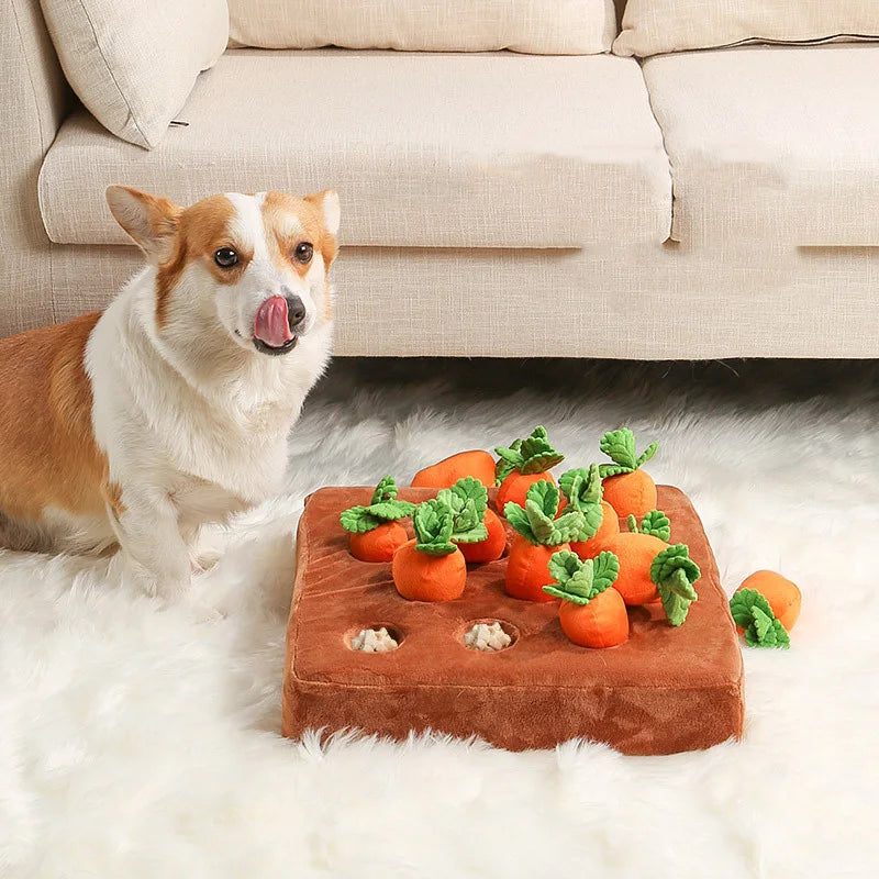 Pet Plush Food Toys