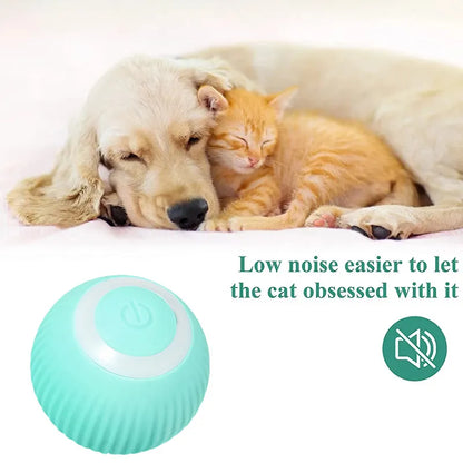 Electric Smart Pet Ball Toys