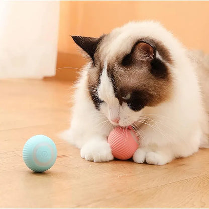 Electric Smart Pet Ball Toys